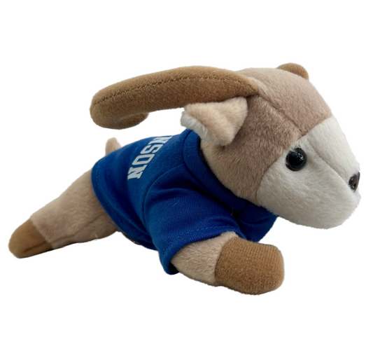 Ram Beanie
